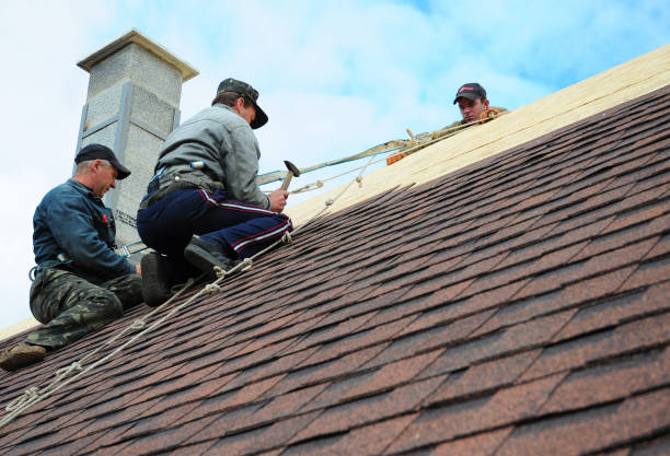 Best Residential Roofing Contractor  in Livingston, LA